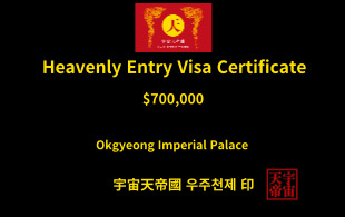 천상 입국 비자 증명서